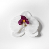 Голова Орхидея хлопок    d=9см  /20 Г-462
