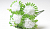 Букет Хризантема на листе 7 голов ИПСВИЧ  141.2040